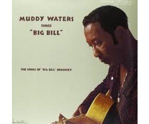 lp-waters-muddy-muddy-waters-