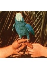 (LP) Bird, Andrew - Are You Serious (2LP)  241 SOLD