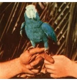 (LP) Bird, Andrew - Are You Serious (2LP)  241 SOLD