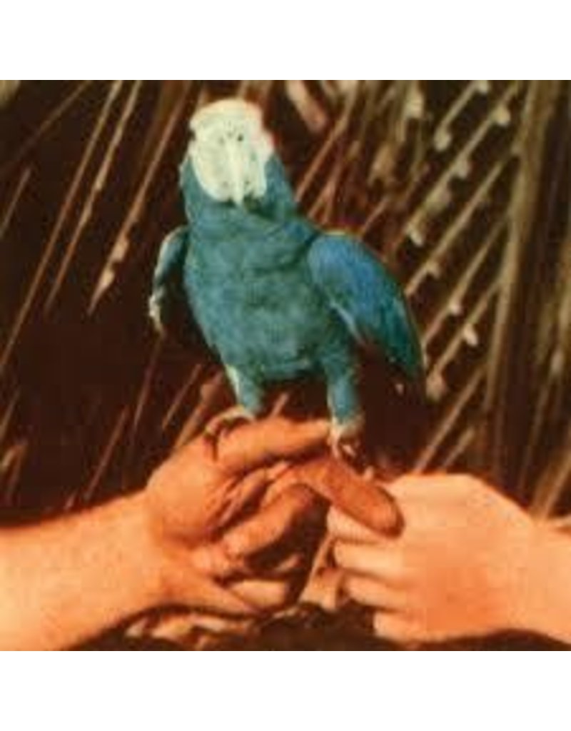 (LP) Bird, Andrew - Are You Serious (2LP)  241 SOLD