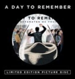 (LP) A Day To Remember - What Separates Me From You (DIS)