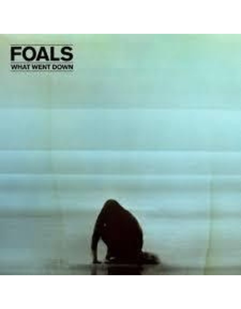 (LP) Foals - What Went Down