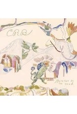 (LP) Chris Robinson Brotherhood - Barefoot In The Head