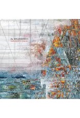 (LP) Explosions In The Sky - The Wilderness