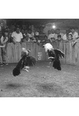 (LP) Black Pistol Fire - Don't Wake The Riot (DIS)
