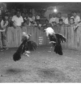 (LP) Black Pistol Fire - Don't Wake The Riot (DIS)