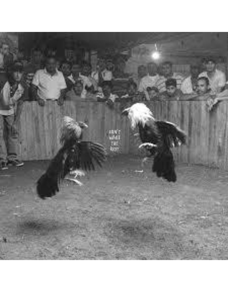 (LP) Black Pistol Fire - Don't Wake The Riot (DIS)