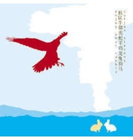 (LP) Stevens, Sufjan - Enjoy Your Rabbit