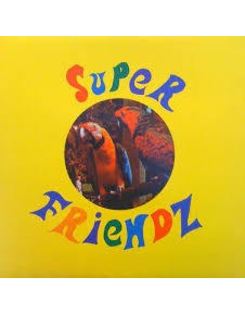 (LP) Super Friendz - The Play The Game, Not Games (10" 2016 RE)