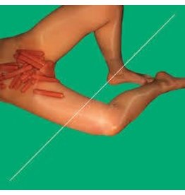 (LP) Peaches - Rub Remixes (DIS)