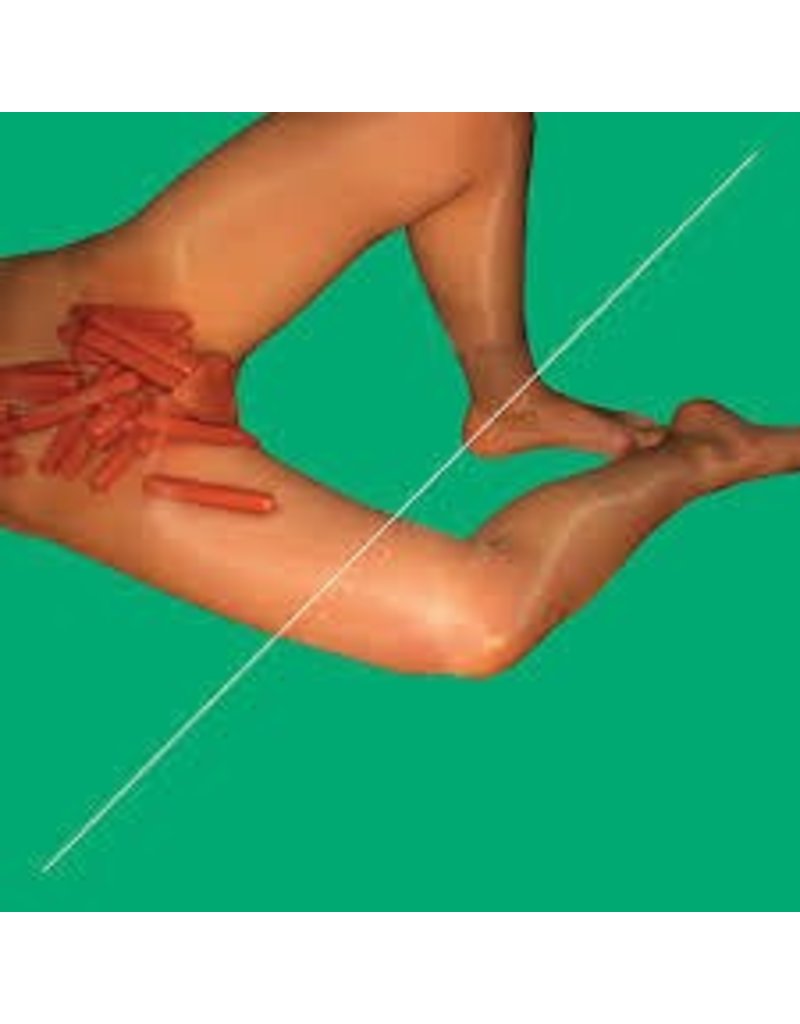 (LP) Peaches - Rub Remixes (DIS)