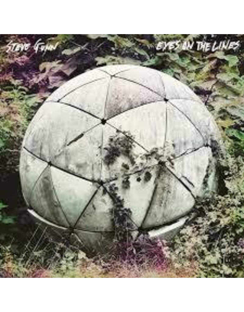 (LP) Steve Gunn - Eyes On The Line