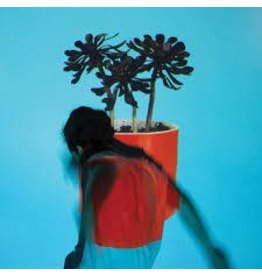 (LP) Local Natives - Sunlit Youth (DIS)