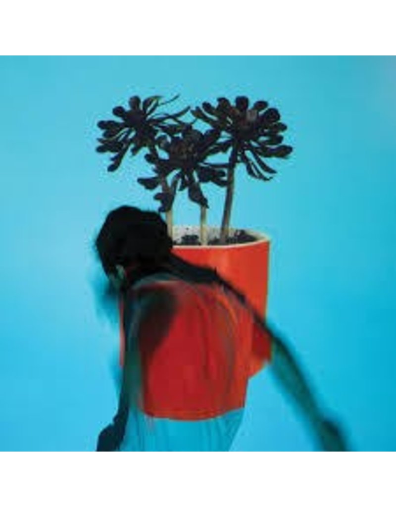 (LP) Local Natives - Sunlit Youth (DIS)