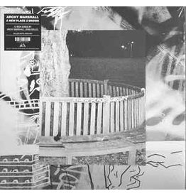 True Panther Sounds (LP) Archy Marshall - A New Place to Drown (DIS)