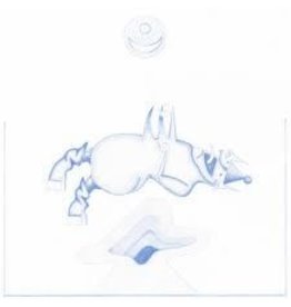 (LP) Devendra Banhart - Ape In Pink Marble