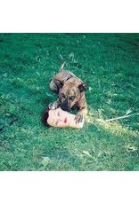 (LP) Joyce Manor - Cody