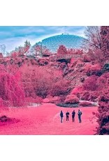 (LP) The Zola's - Swooner