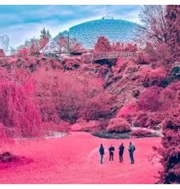 (LP) The Zola's - Swooner