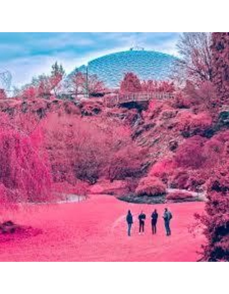 (LP) The Zola's - Swooner