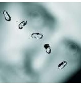 (LP) Gabriel, Peter - Up (180g , 45rpm, Numbered)