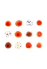 (LP) Gabriel, Peter - Scratch My Back/And I Ll Scratch (DIS)