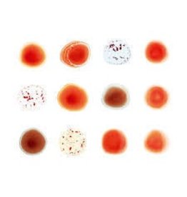 (LP) Gabriel, Peter - Scratch My Back/And I Ll Scratch (DIS)