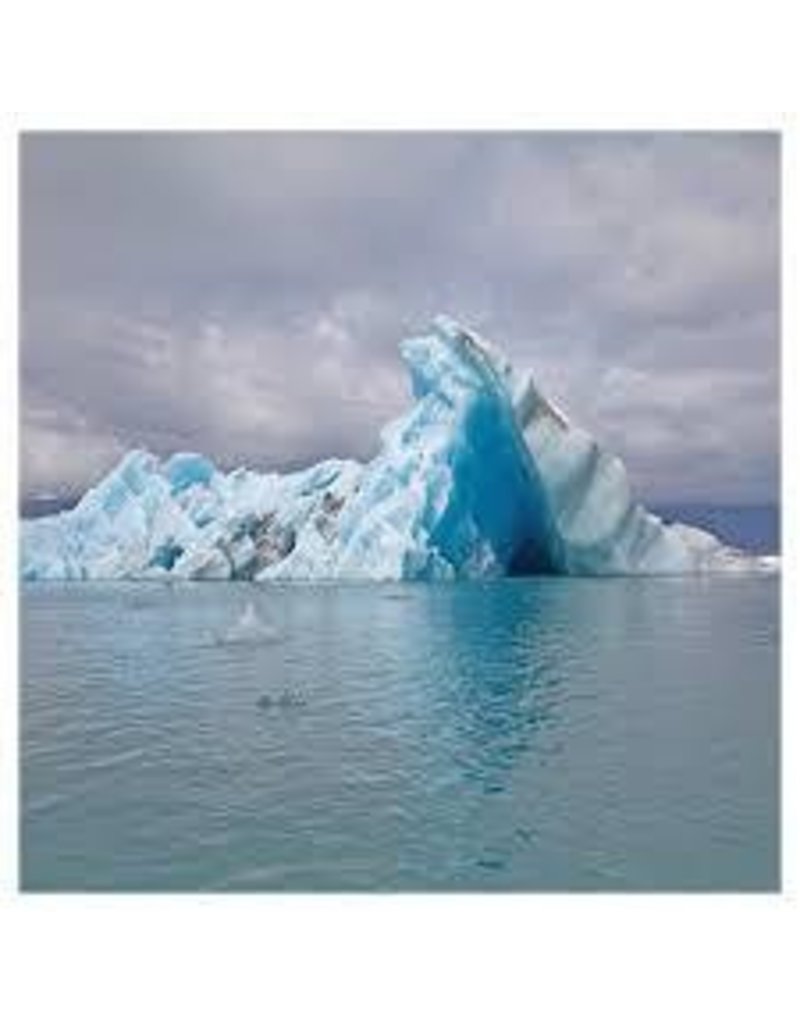 (LP) Surfer Blood - Snowdonia (White) (DIS)