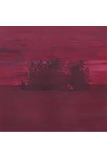 (LP) The Besnard Lakes - Are The Divine Wind (12")