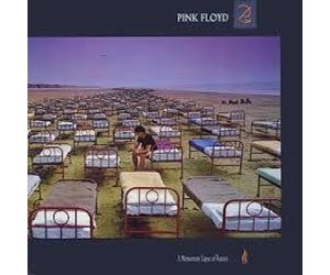 洋楽 PINK FLOYD Momentary Lapse of Reason LP Amazon.com: Momentary Lapse Of Reason: CDs & Vinyl