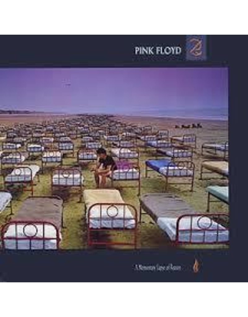 (LP) Pink Floyd - A Momentary Lapse Of Reason