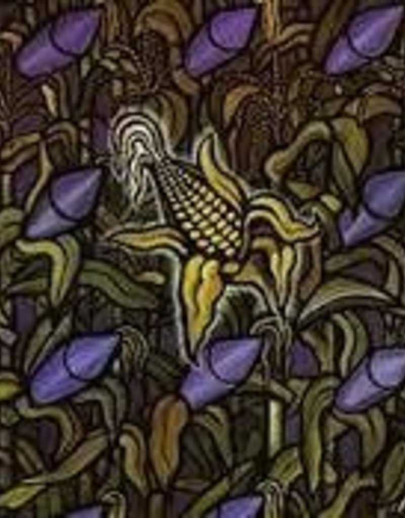 (LP) Bad Religion - Against The Grain (DIS)