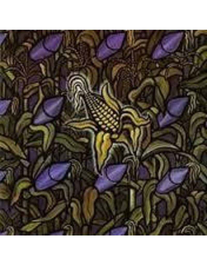 (LP) Bad Religion - Against The Grain (DIS)