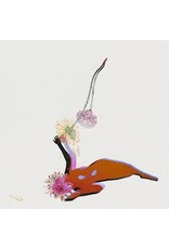 (CD) Future Islands - Far Field