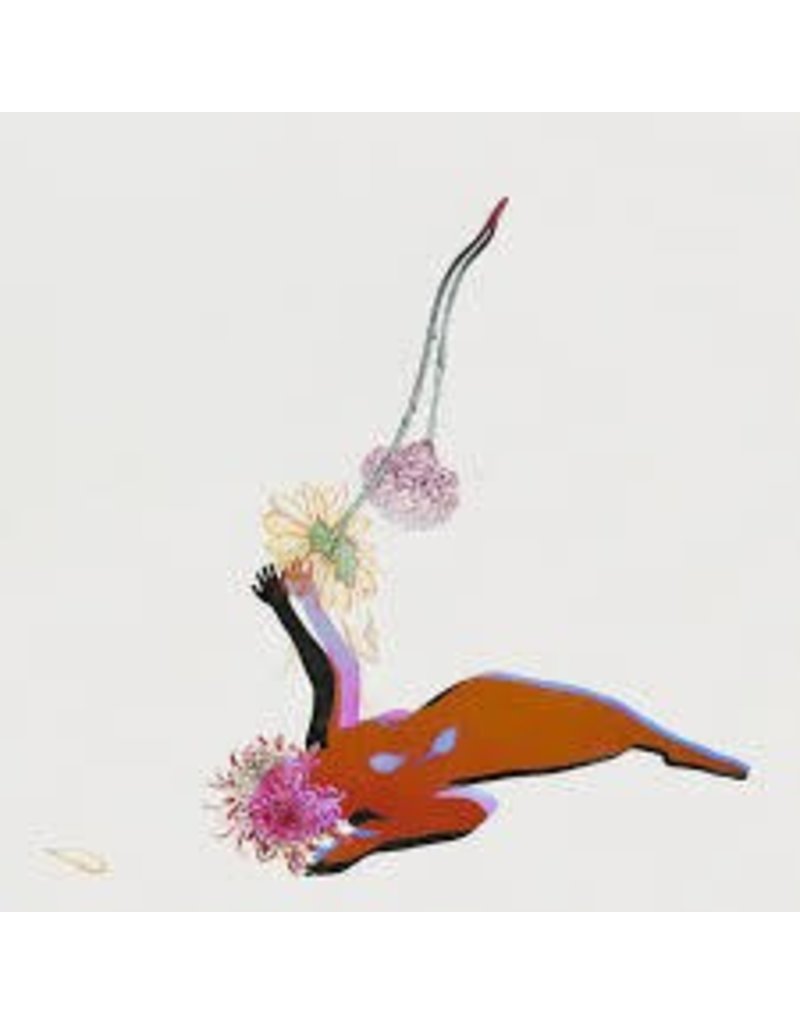 (CD) Future Islands - Far Field