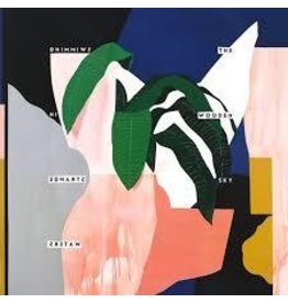 (CD) Wooden Sky - Swimming In Strange Waters  (241)