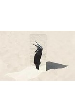 (LP) Penguin Cafe - The Imperfect Sea