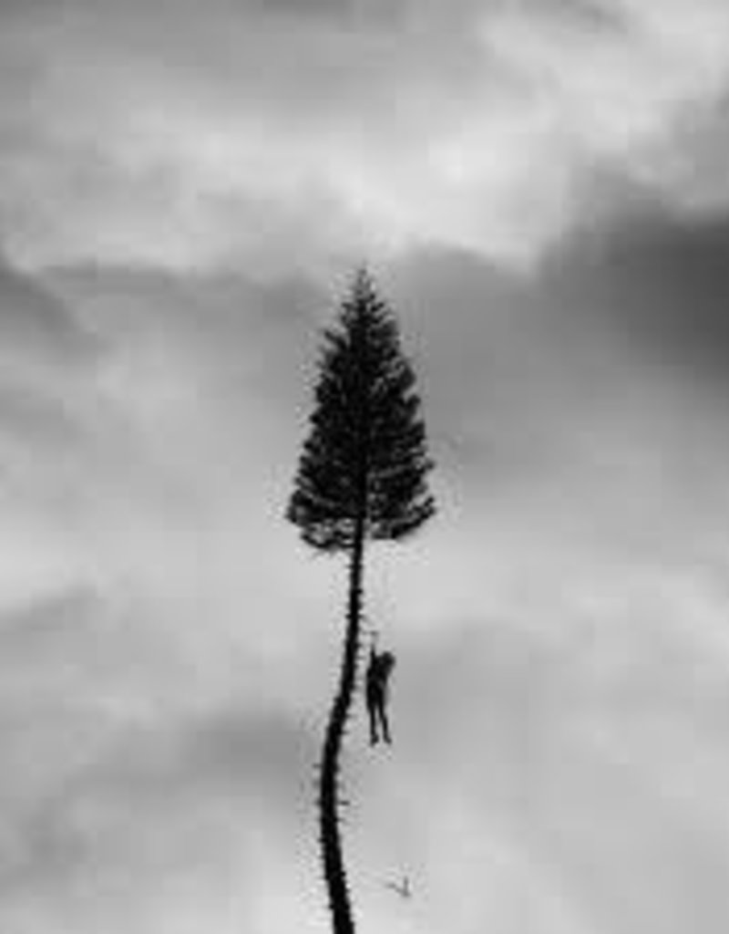 Loma Vista (LP) Manchester Orchestra - A Black Mile To The Surface