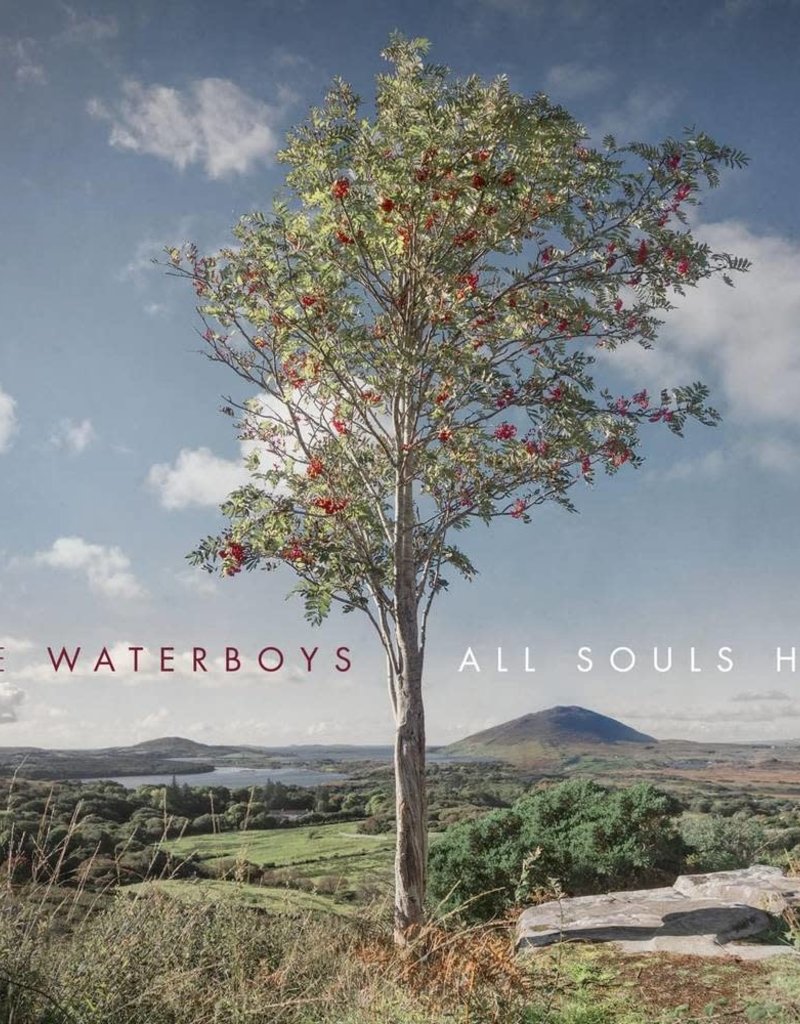 Cooking Vinyl (LP) Waterboys - All Souls Hill
