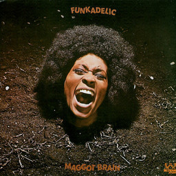 lp-funkadelic-maggot-brain-