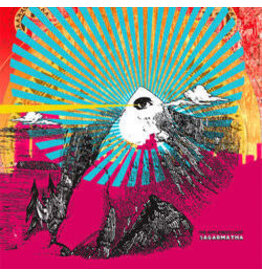 (Used LP) The Appleseed Cast – Sagarmatha