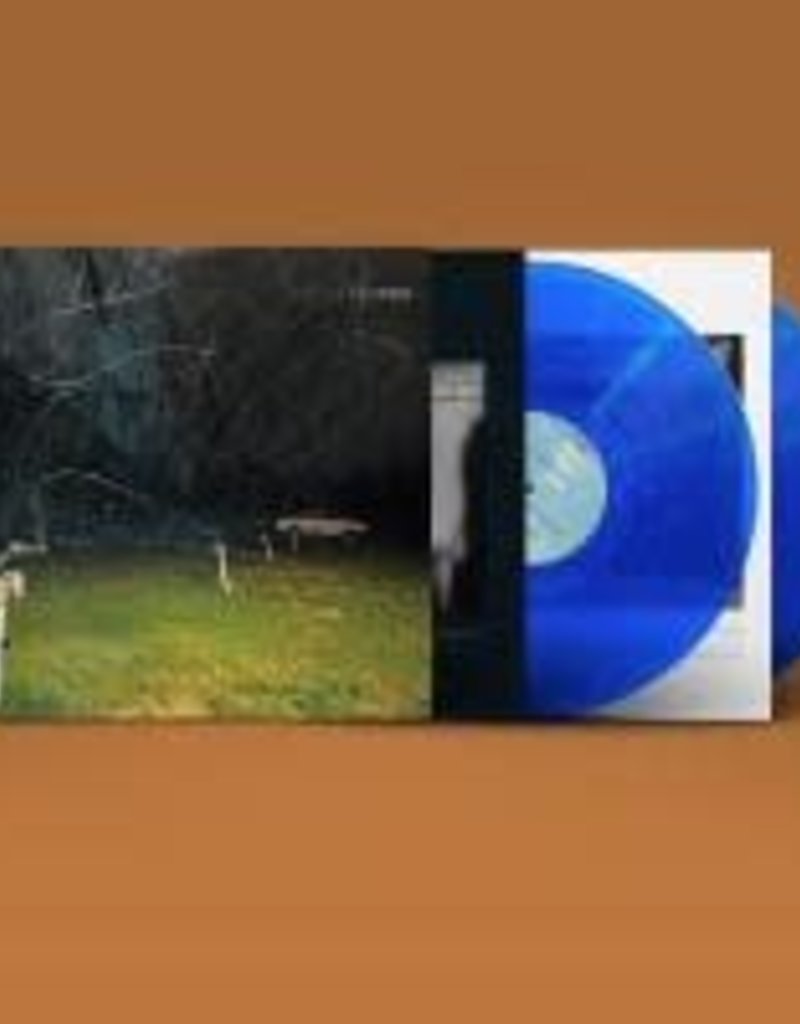 (LP) Yo La Tengo - This Stupid World (Indie: 2LP Blue Vinyl)
