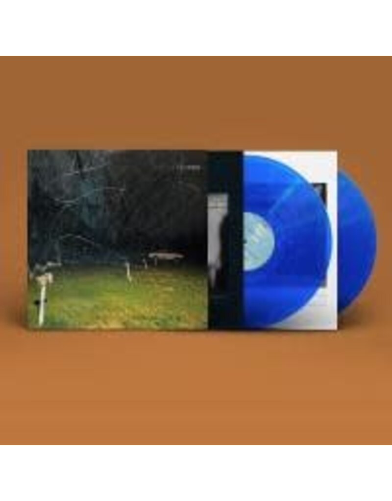 (LP) Yo La Tengo - This Stupid World (Indie: 2LP Blue Vinyl)
