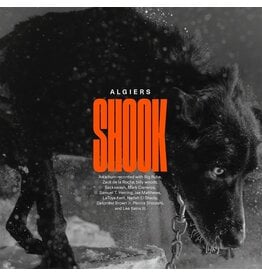 (LP) Algiers - Shook (Indie: 2LP Gold Vinyl)