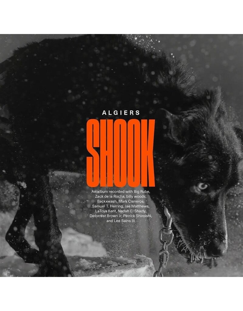 (LP) Algiers - Shook (Indie: 2LP Gold Vinyl)