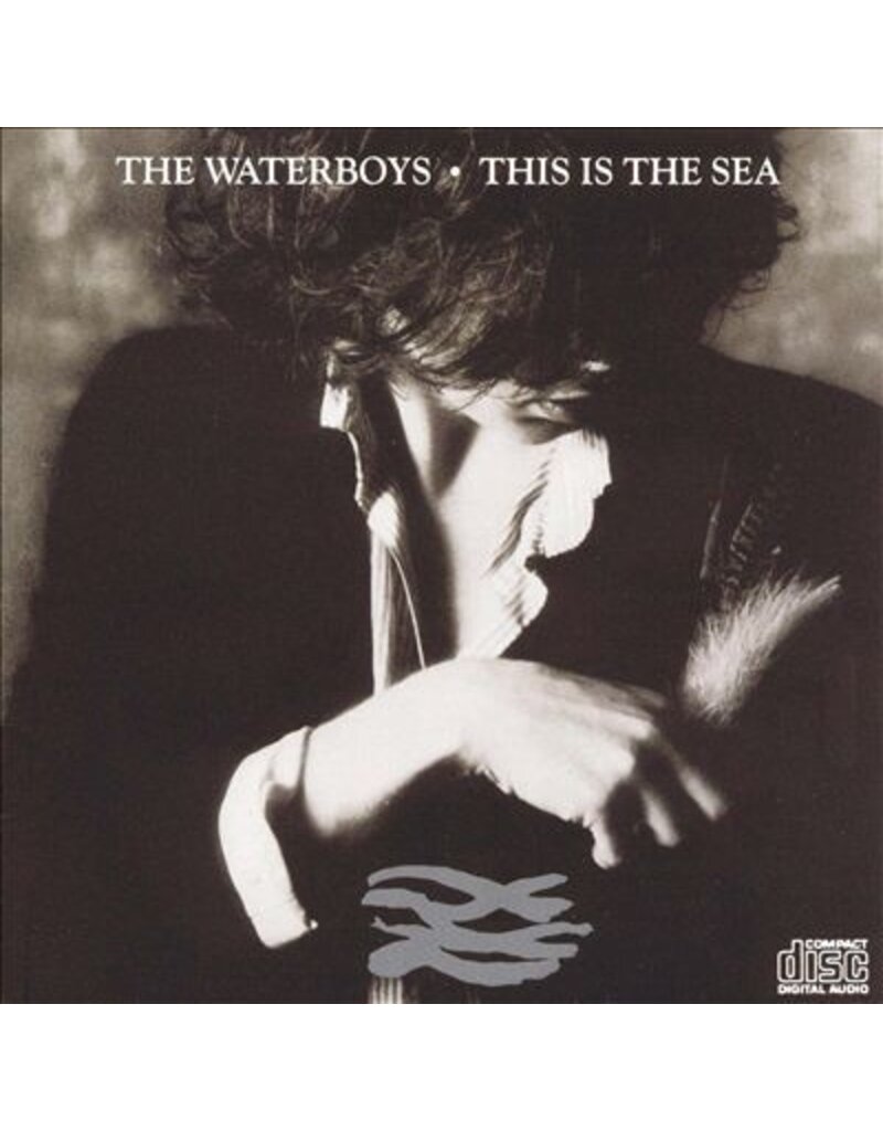 Chrysalis (LP) Waterboys - This Is The Sea