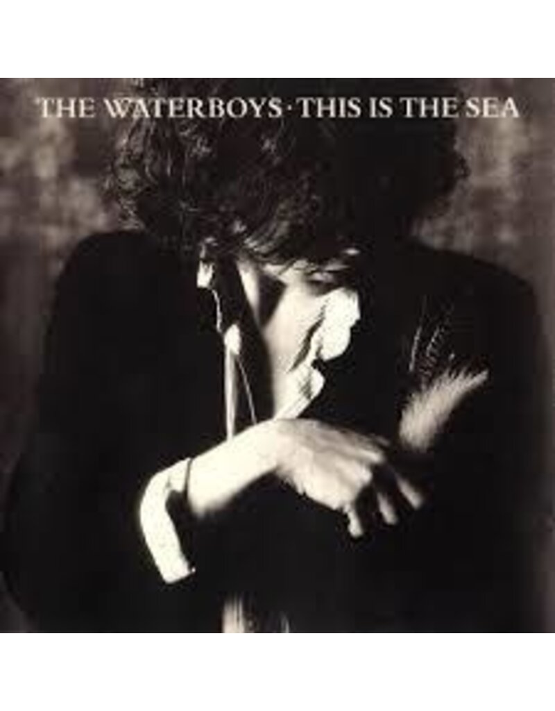 Chrysalis (LP) Waterboys - This Is The Sea