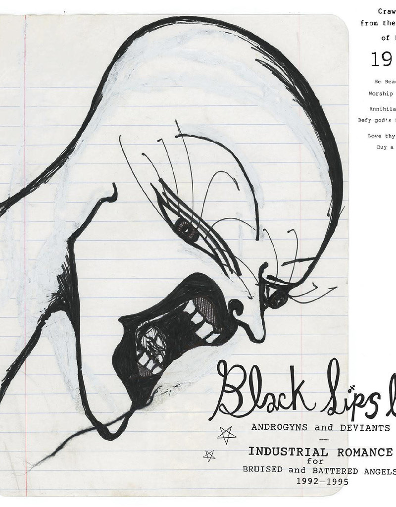 Anthology Recordings (LP) Various - Blacklips Bar: Androgyns and Deviants (2LP) Industrial Romance for Bruised and Battered Angels, 1992–1995