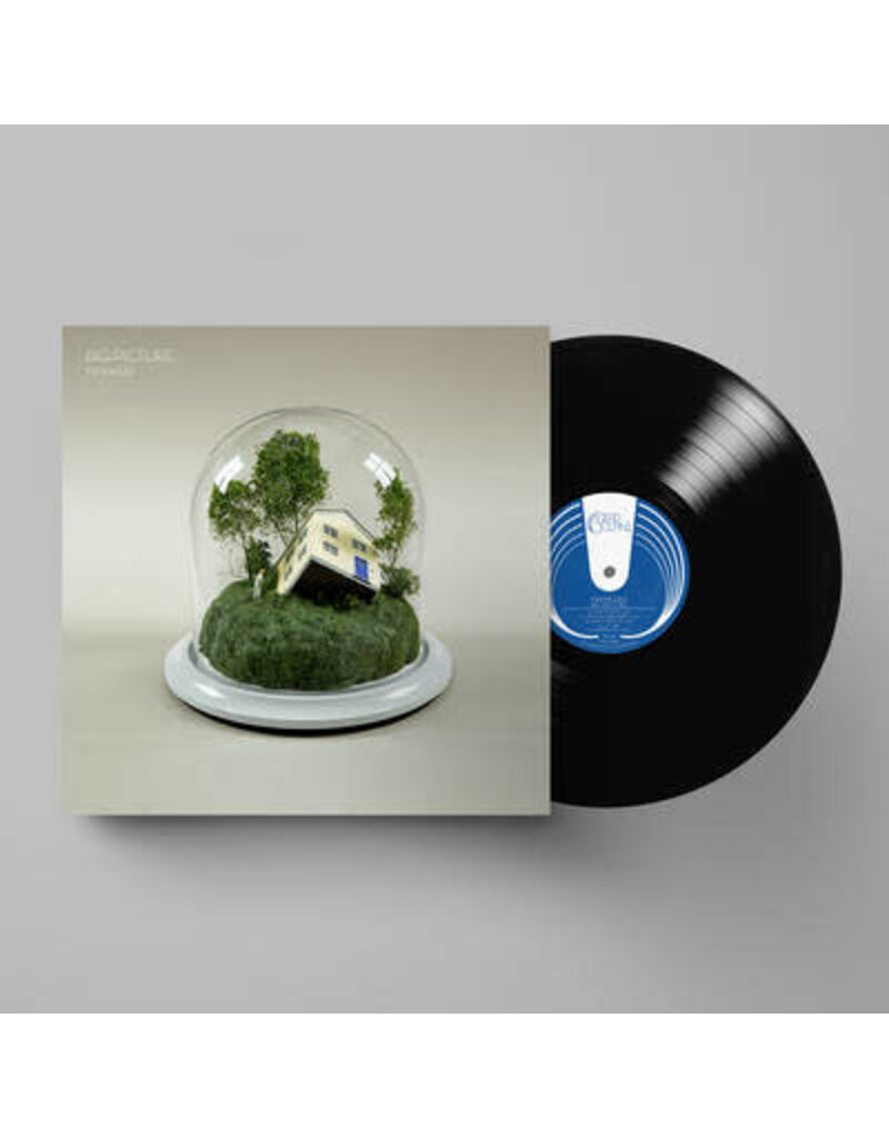 (LP) Fenne Lily - Big Picture **********DEEP DISCOUNT IN EFFECT!**********