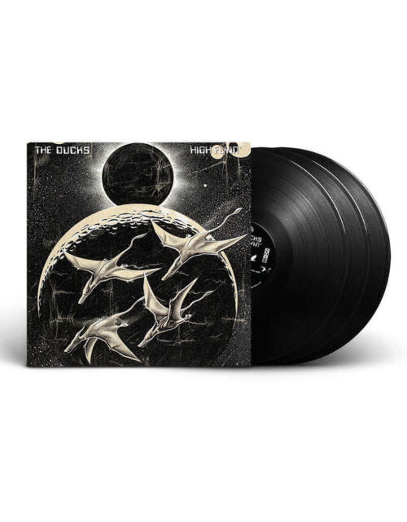 Reprise (LP) The Ducks - High Flyin' (3LP) **********DEEP DISCOUNT IN EFFECT!**********